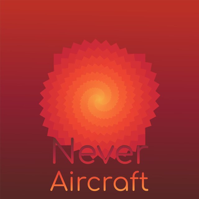 Never Aircraft