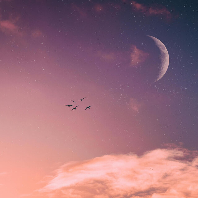 To the Moon