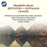 Mandolin Concerto in G Major: III. Rondo. Allegro