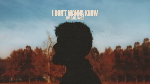 I Don't Wanna Know (Official Lyric Video)