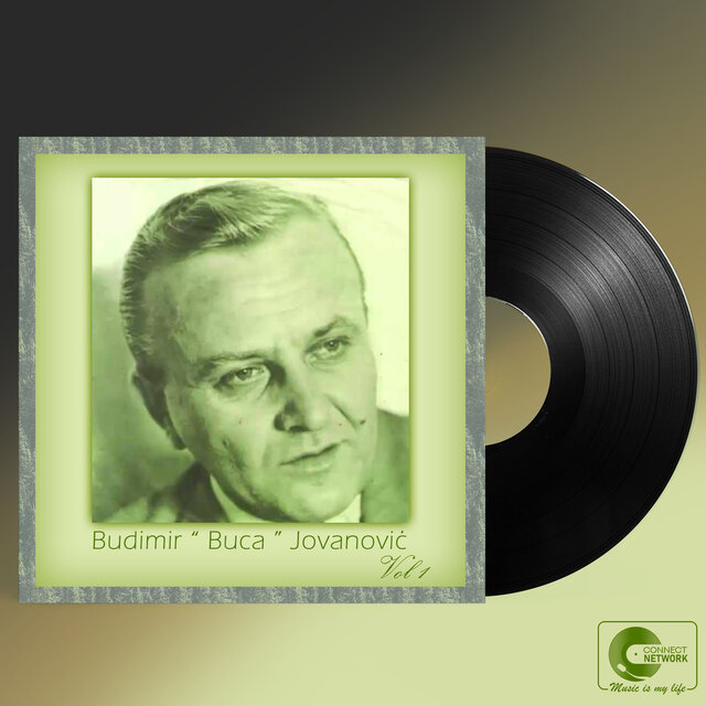 Budimir Jovanović (Live)