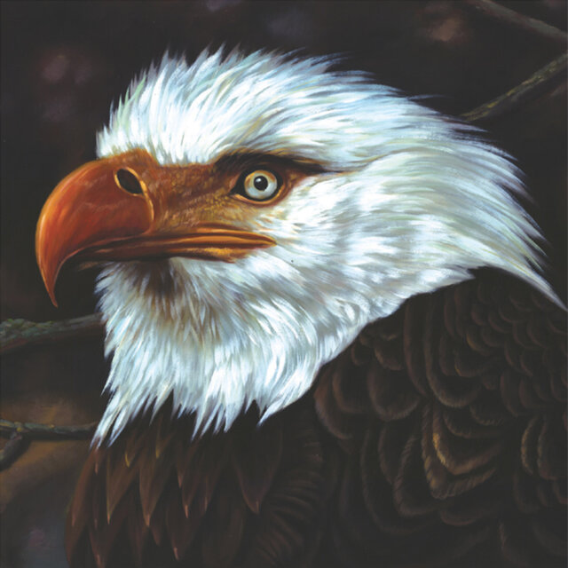 Cover art for album The Hawk Is Howling by Mogwai