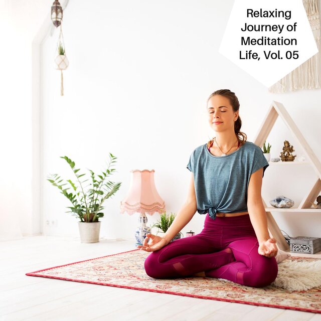 Relaxing Journey Of Meditation Life, Vol. 05