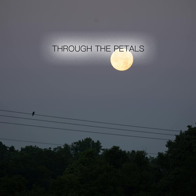 Through the Petals