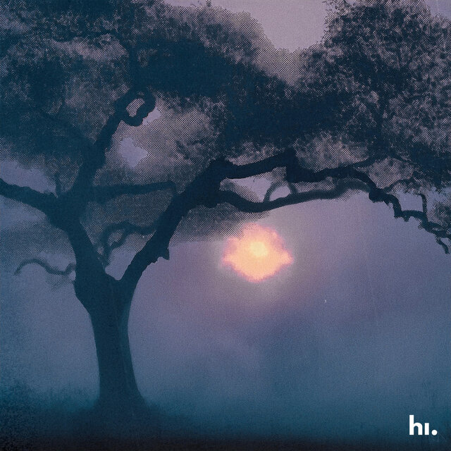 Picture Perfect (Slowed + Reverb)