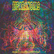 Cover art for album Reliquary for a Dreamed of World by 11PARANOIAS