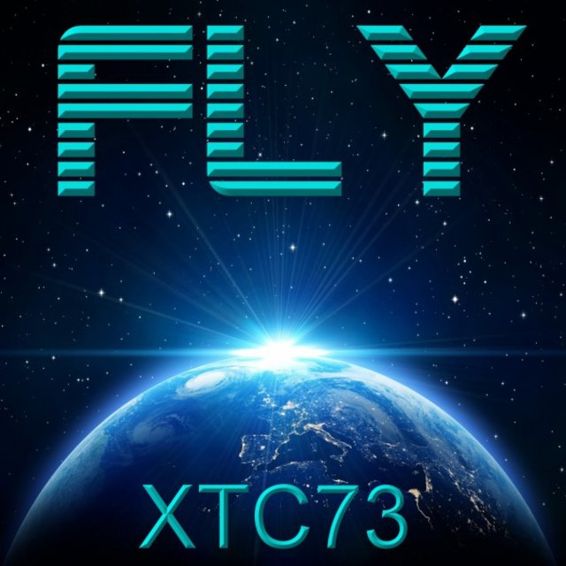 Fly