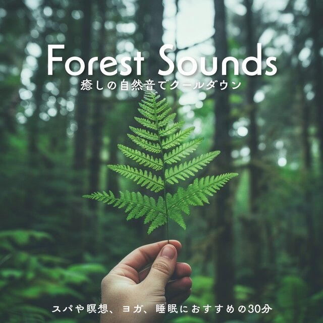 Forest Sounds - 30 Minutes of Relaxing Nature Ambience for Meditation and Sleep