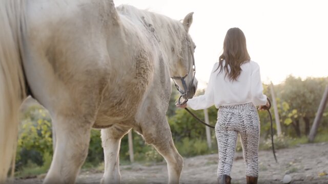 Country Girl (Visualizer)