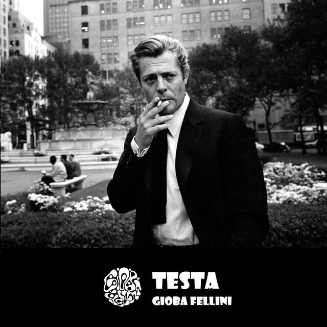 Testa