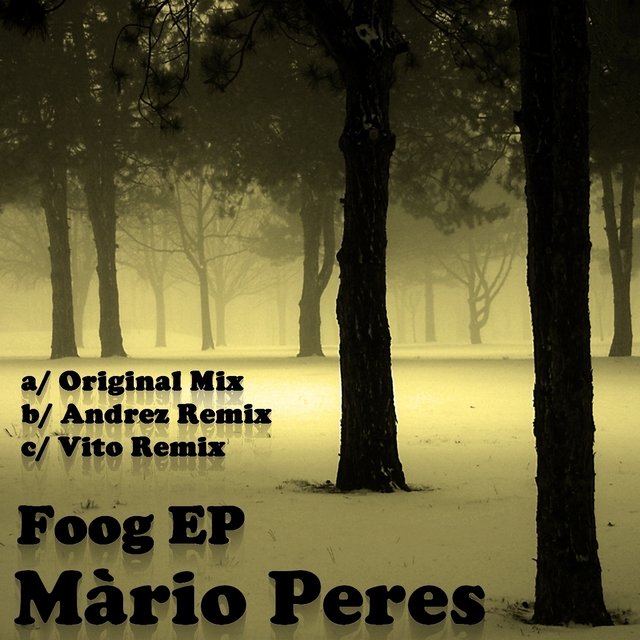 Foog Remixes - EP