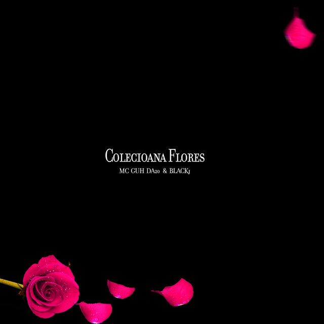 Coleciona Flores