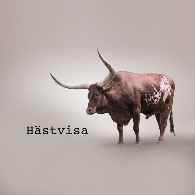 Hästvisa