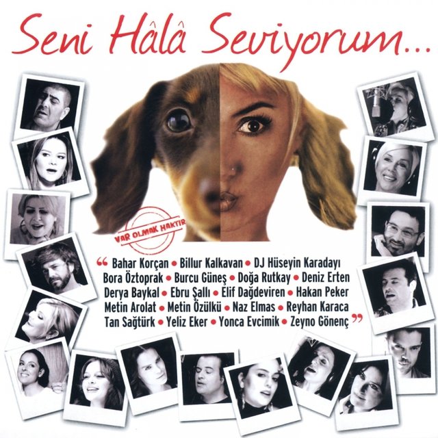 Seni Hala Seviyorum