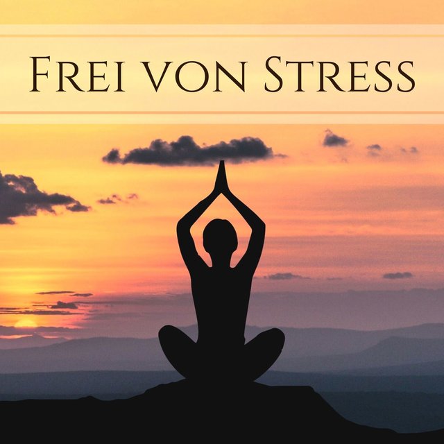 Frei von Stress: Panflöte Meditationsmusik