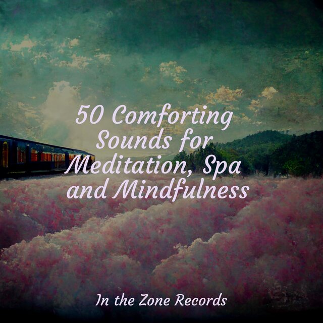 50 Comforting Sounds for Meditation, Spa and Mindfulness