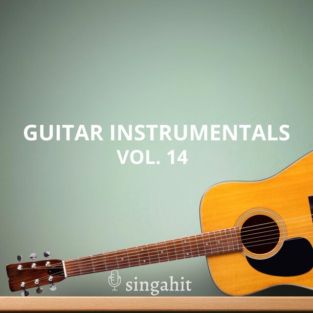 Guitar Acoustic Instrumental, Vol. 14