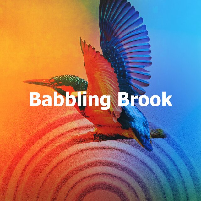 Babbling Brook