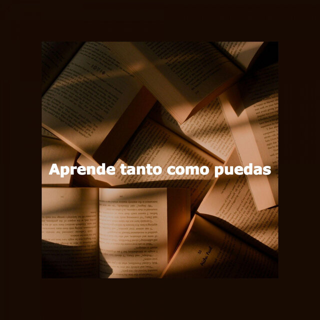 Aprende tanto como puedas