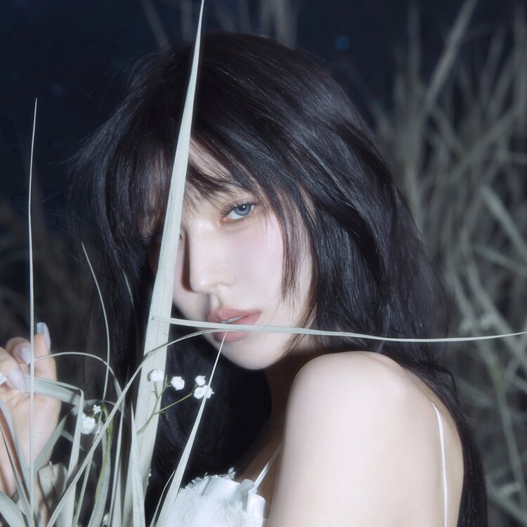 WENDY - TIDAL