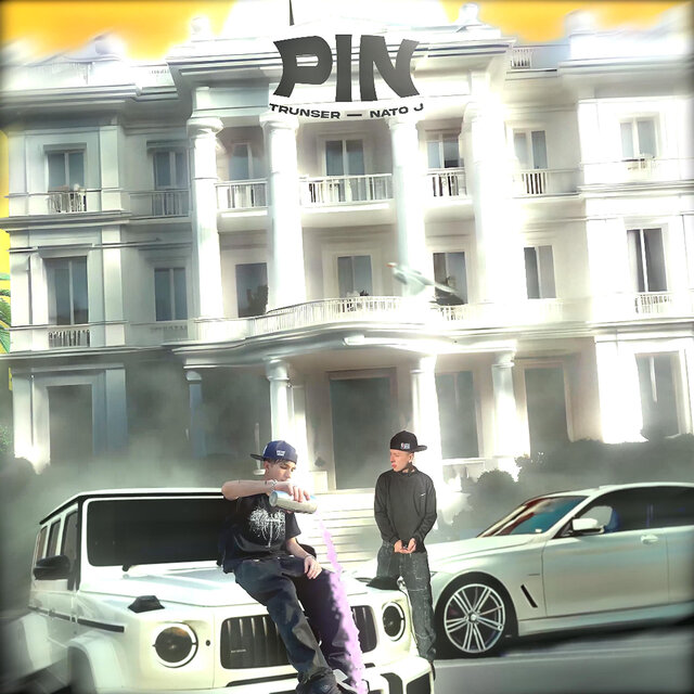 Pin