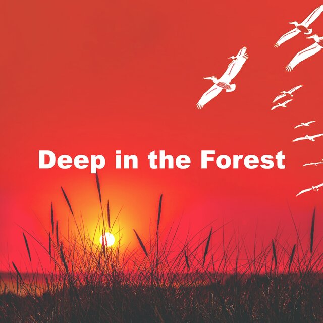 Deep in the Forest