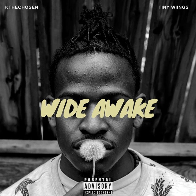 Wide Awake (feat. Tinywiings)