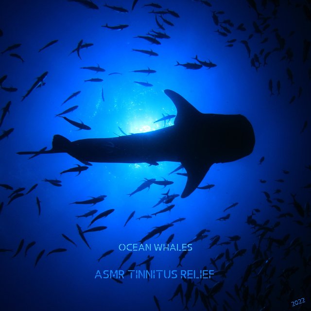 Ocean Whales, Three Hours
