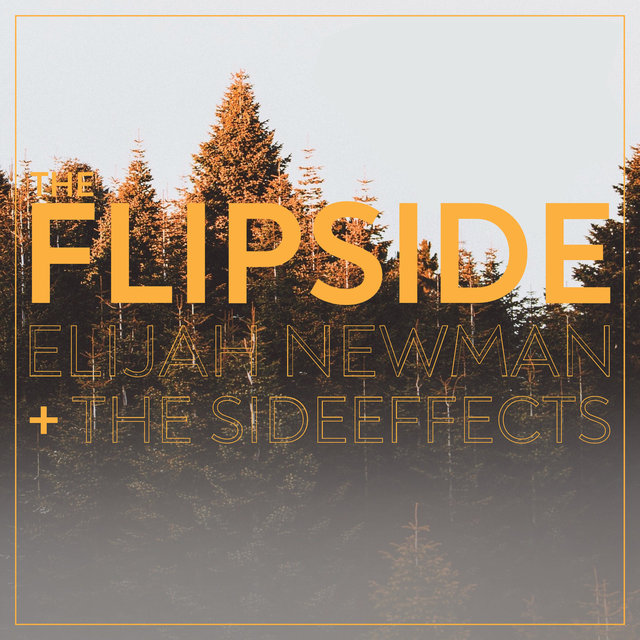 The Flipside