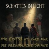Schatten im Licht - Für die freundliche Spinne aus Speyer