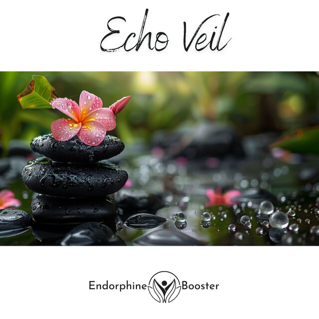Echo Veil