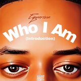 Introduction (Who I Am)