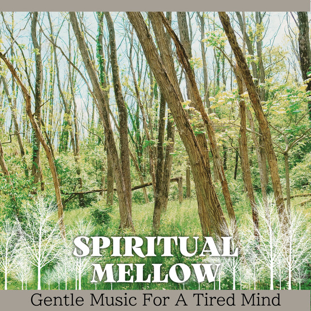 Gentle Music For A Tired Mind