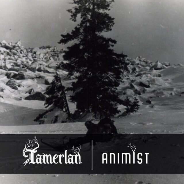 Animist