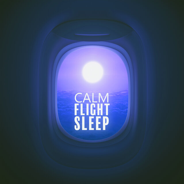 Calm Flight Sleep: Airplane Cabin Noises