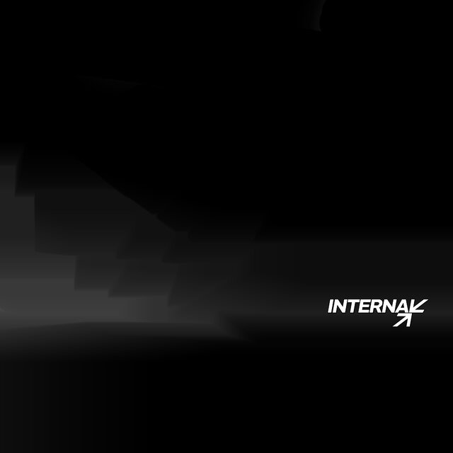 INTERNAL