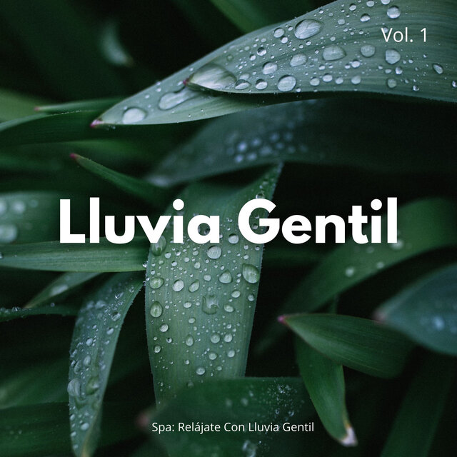 Spa: Relájate Con Lluvia Gentil Vol. 1