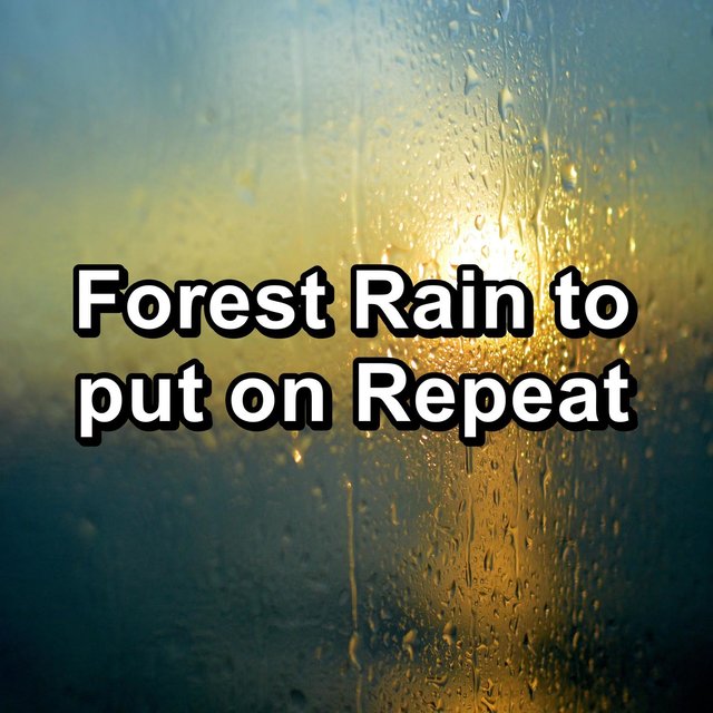 Forest Rain to put on Repeat