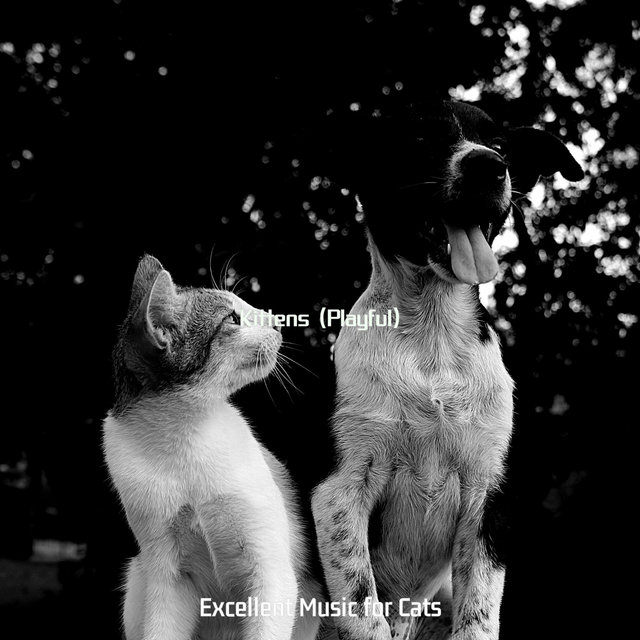 Kittens (Playful)