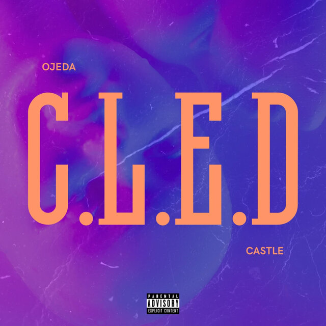 C.L.E.D
