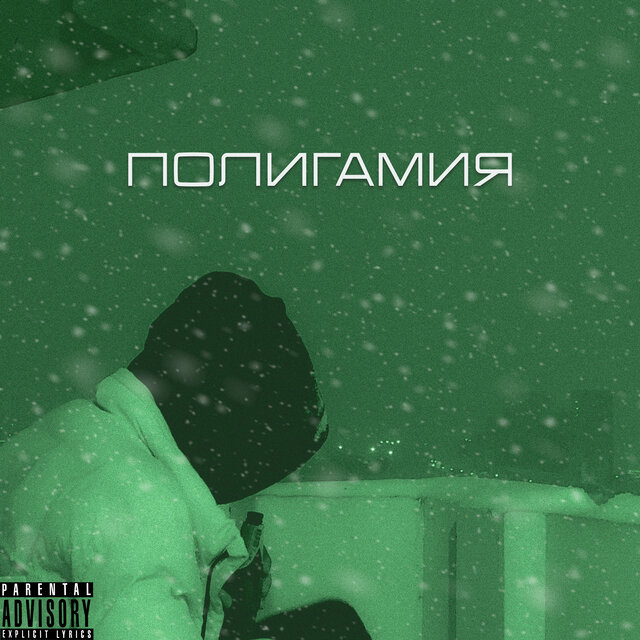 ПОЛИГАМИЯ