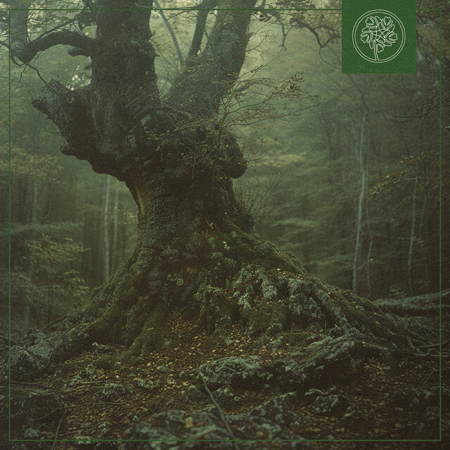 Deep in the Woods