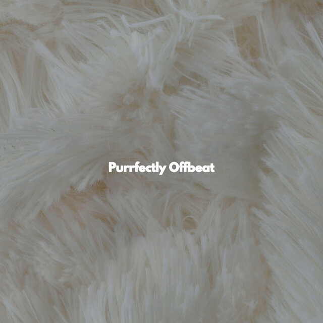 Purrfectly Offbeat