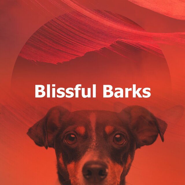 Blissful Barks