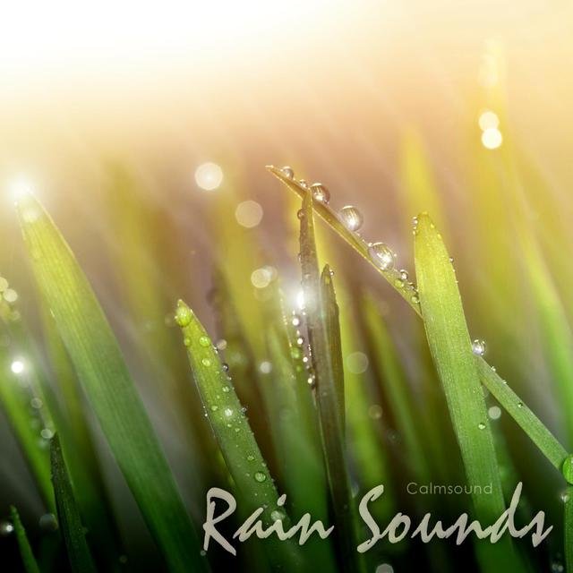 Rain Sounds