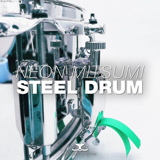 Steel Drum