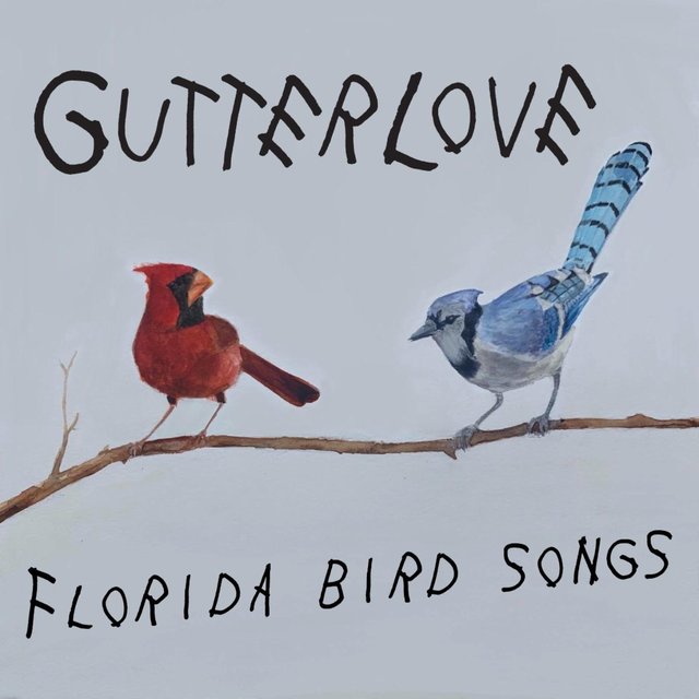 Florida Bird Songs