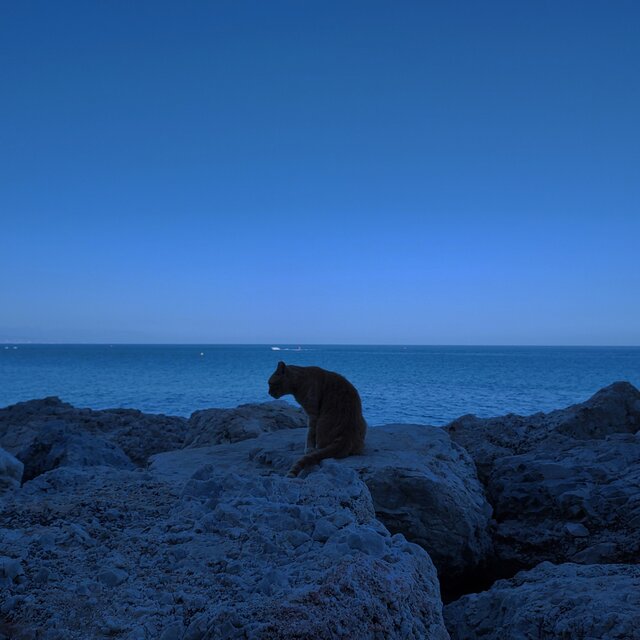 Mientras Baja La Marea