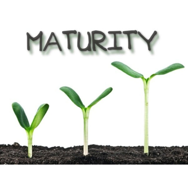 Root like. Root like