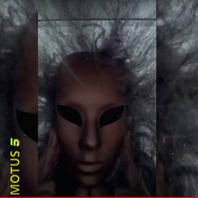 Motus 5